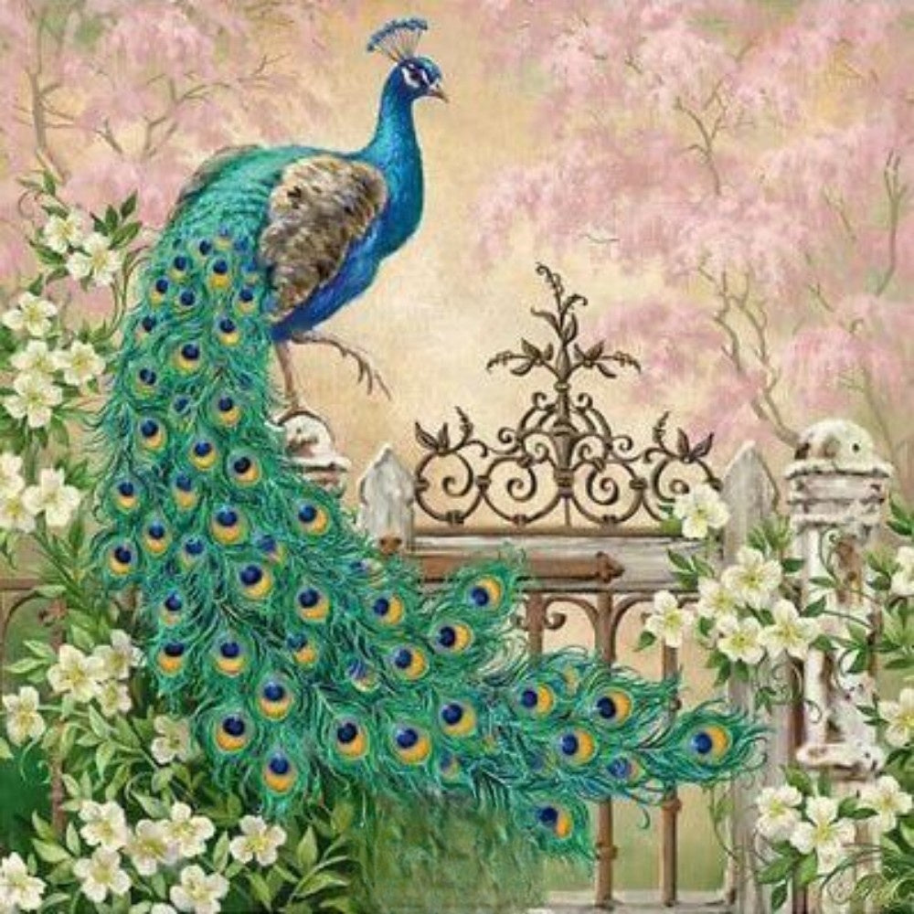 Peacock | Diamond Painting