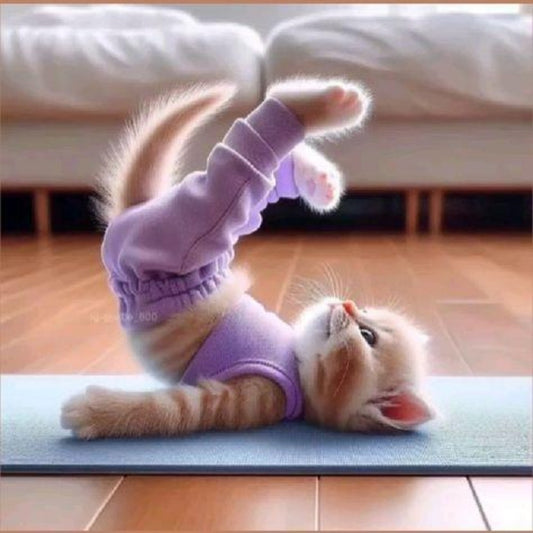 Cats Doing Yoga | Diamond Painting