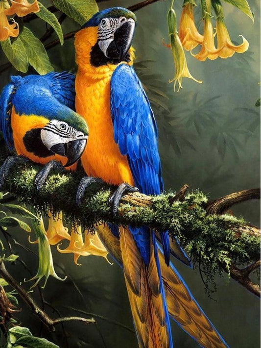 Macaw | Diamond Painting