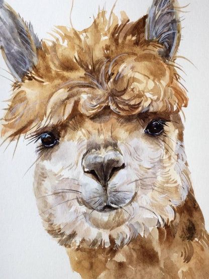 Alpaca | Diamond Painting