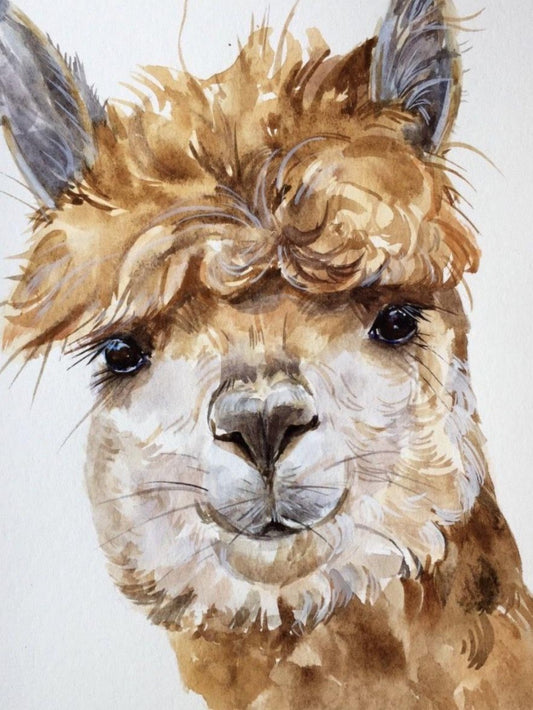 Alpaca | Diamond Painting