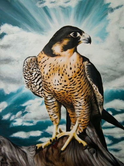 Falcon | Diamond Painting