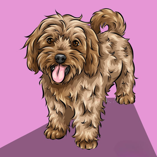 Cavapoo Dog | Diamond Painting