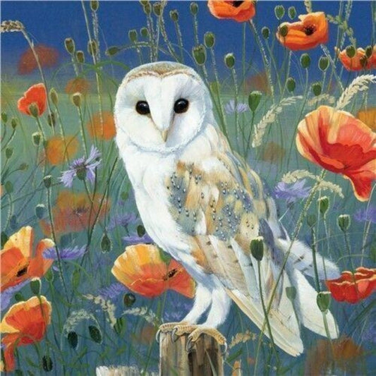 Barn Owl | Diamond Painting