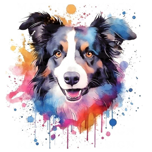 Dog Border Collie | Diamond Painting