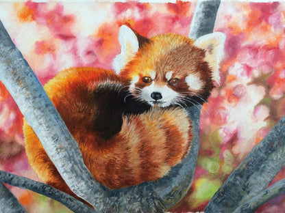 Red Panda | Diamond Painting