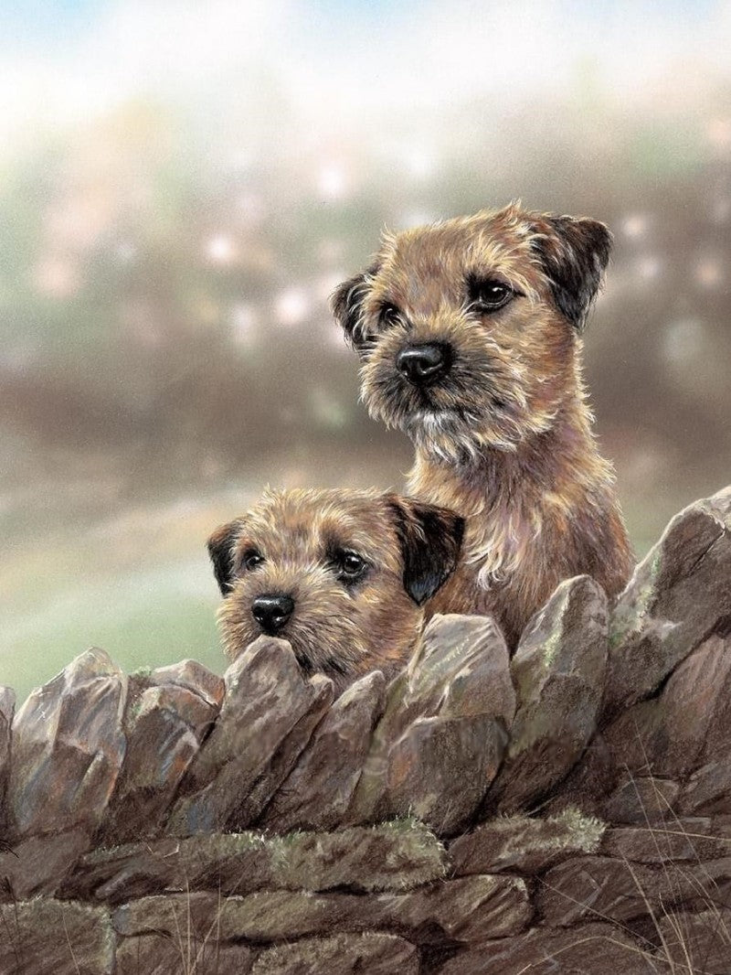 Dog Border Terrier | Diamond Painting