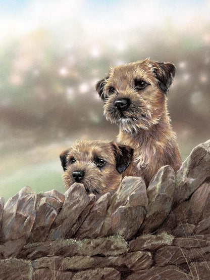 Dog Border Terrier | Diamond Painting