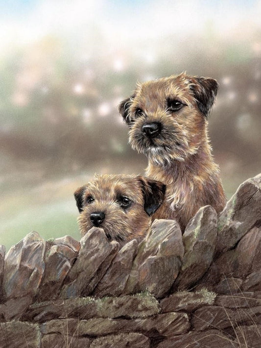 Dog Border Terrier | Diamond Painting