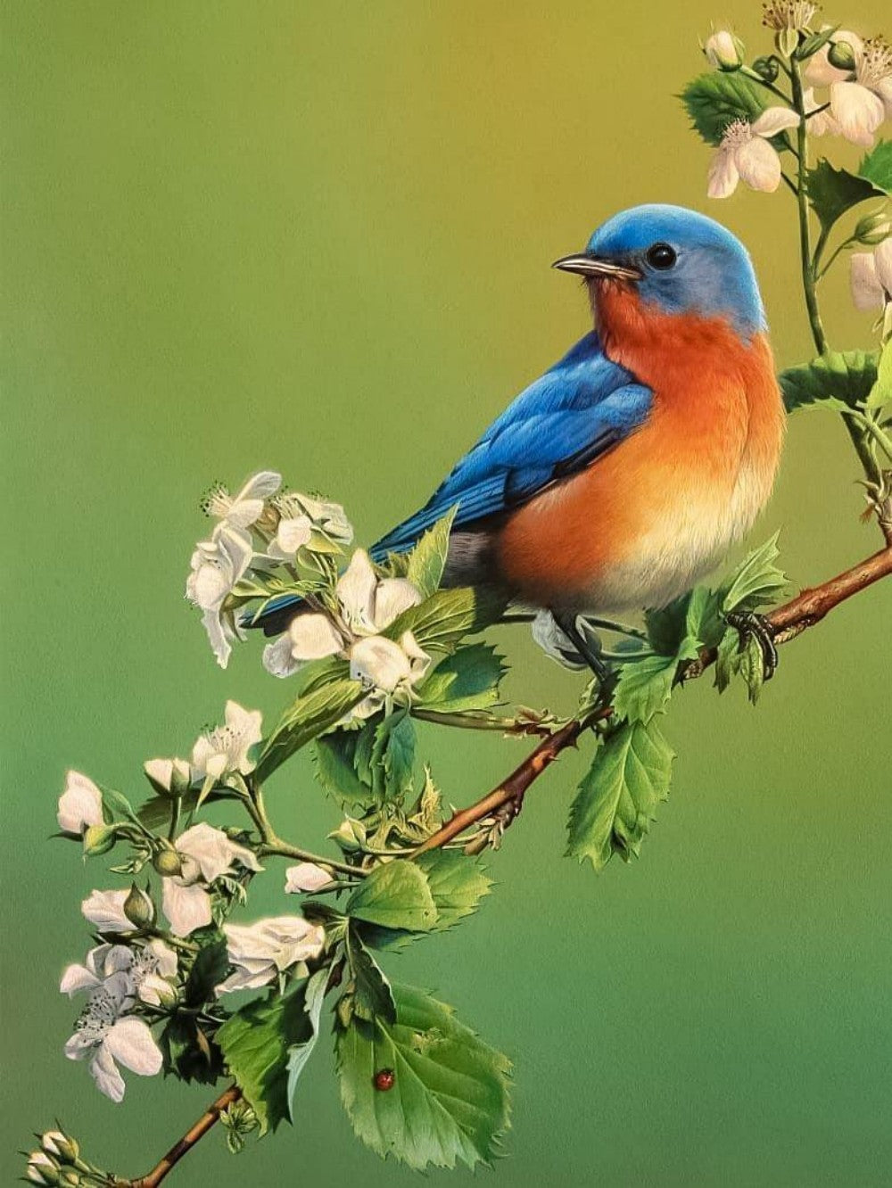 Blue Bird | Diamond Painting