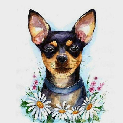 Dog Chihuahua | Diamond Painting