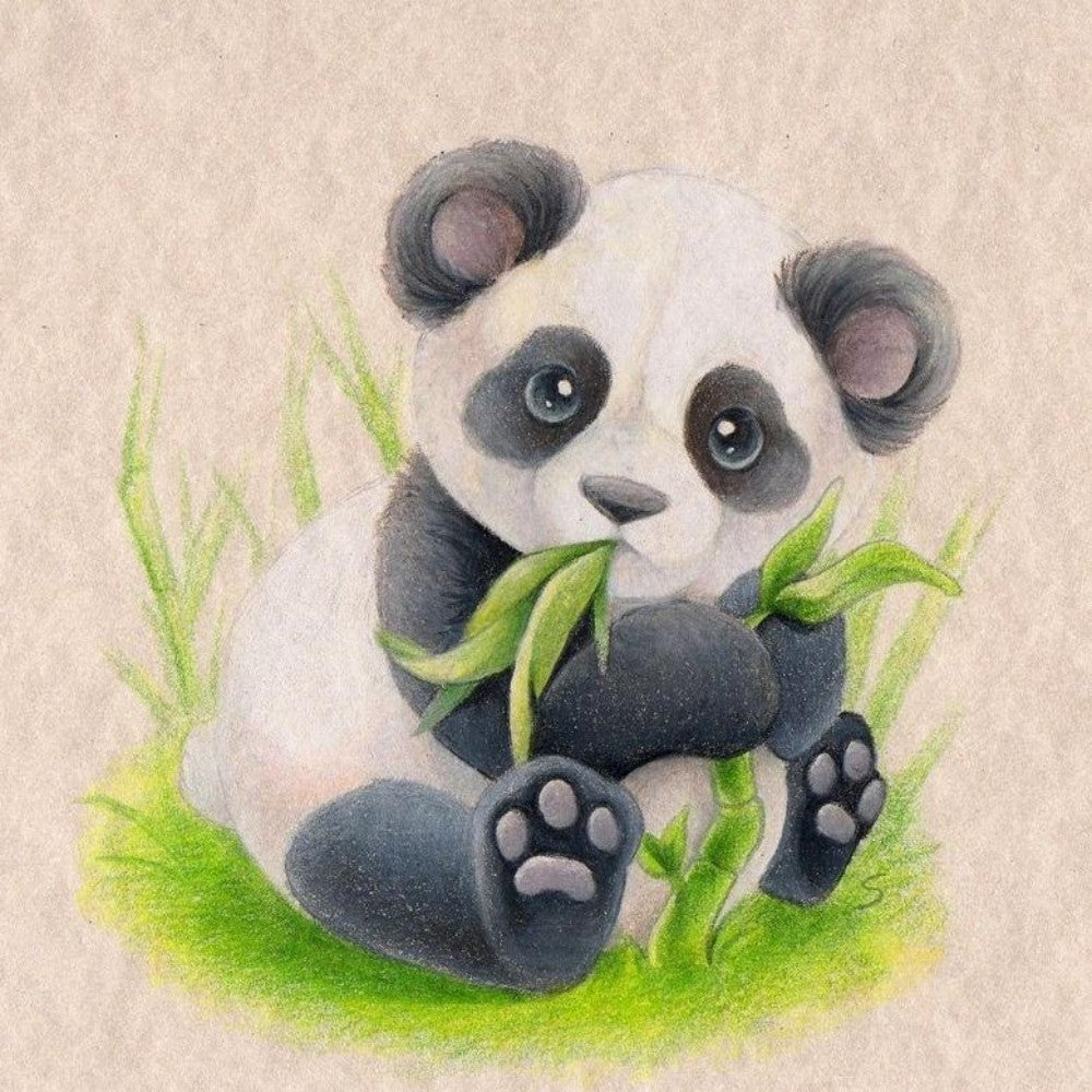 Panda | Diamond Painting