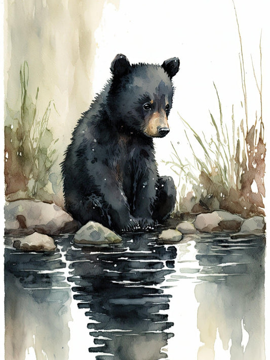 Black Bear | Diamond Painting