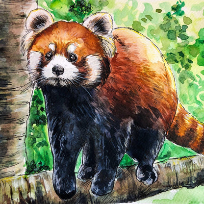Red Panda | Diamond Painting