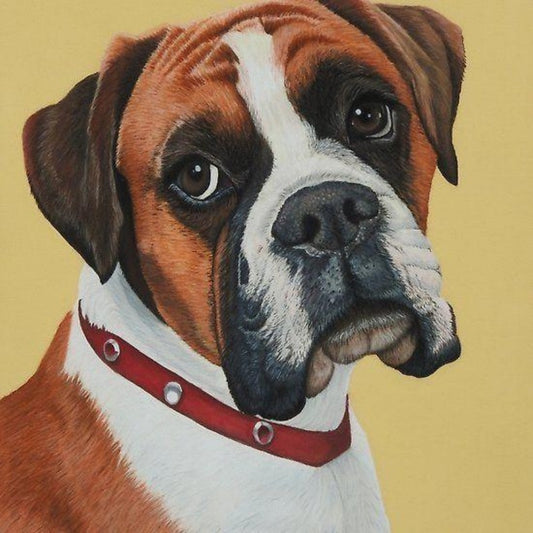 Boxer Dog | Diamond Painting