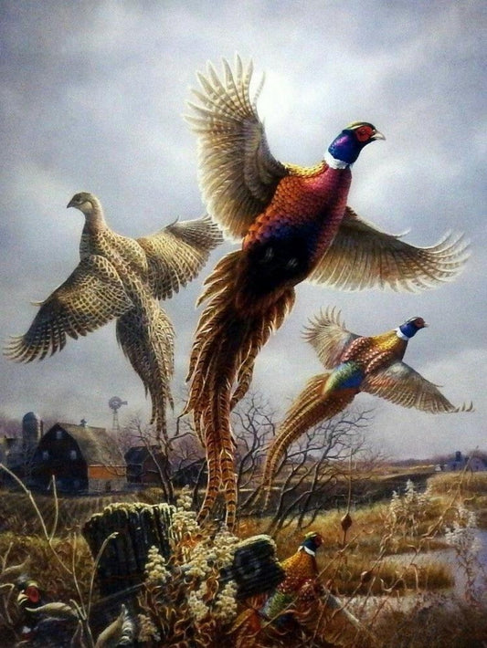 Pheasant | Diamond Painting