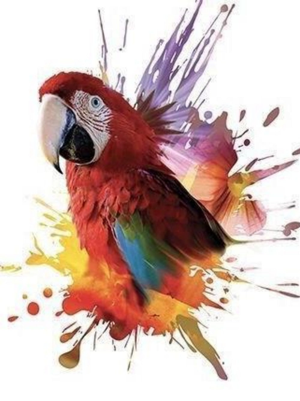 Macaw | Diamond Painting