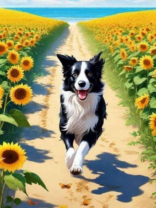 Dog Border Collie | Diamond Painting