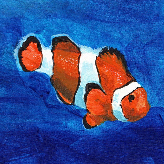 Clown Fish | Diamond Painting