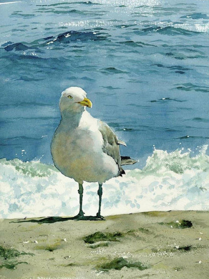 Gull | Diamond Painting
