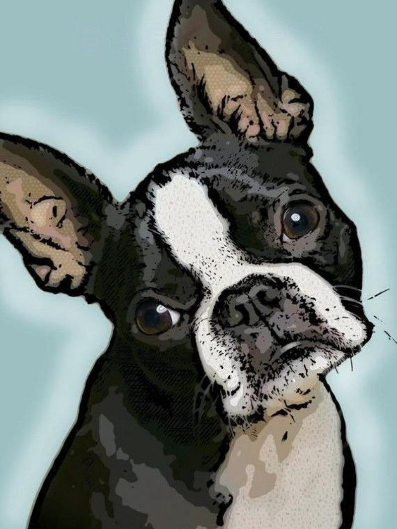 Boston Terrier Dog | Diamond Painting