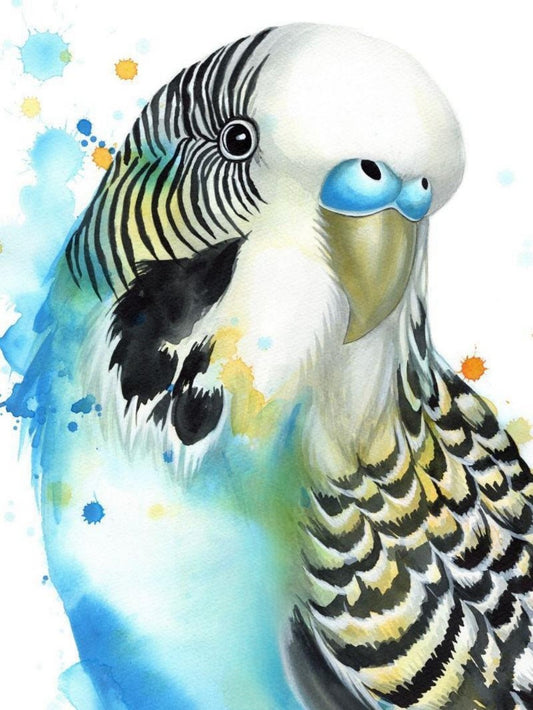 Budgie | Diamond Painting