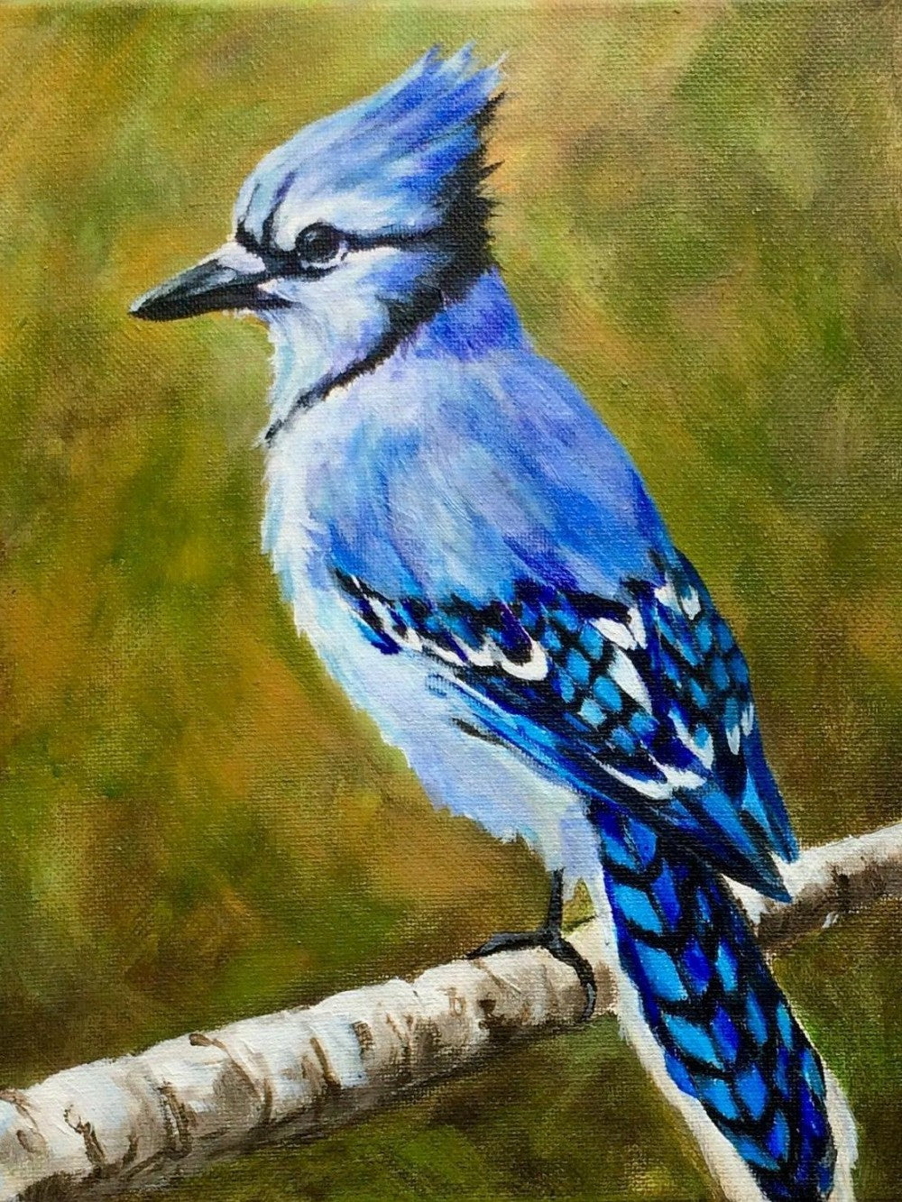 Blue Jay | Diamond Painting