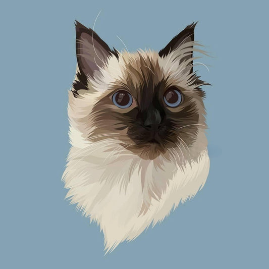 Siamese Cat | Diamond Painting