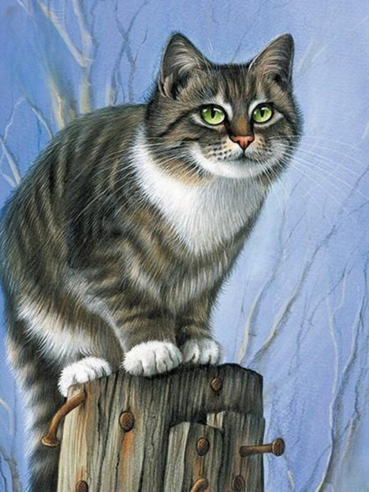 Tabby Cat | Diamond Painting