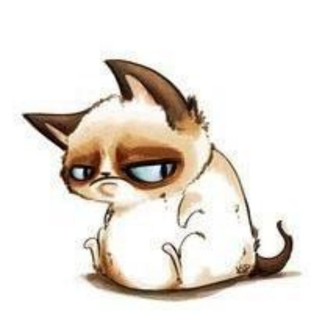 Ragdoll Cat | Diamond Painting