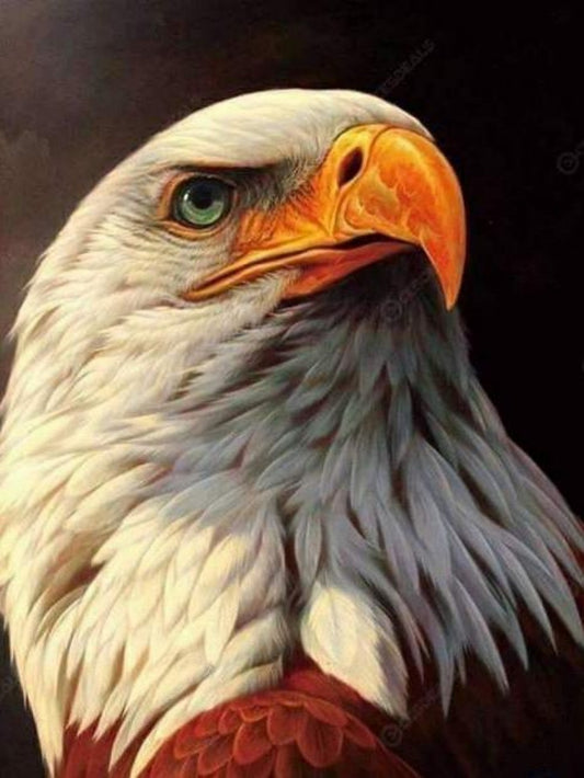 Eagle | Diamond Painting