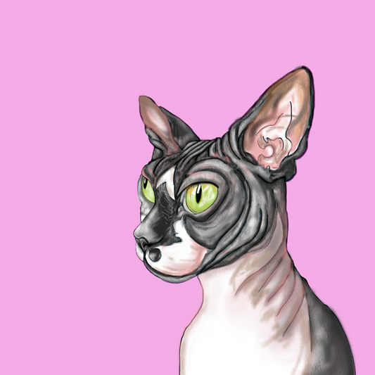 Sphynx Cat  | Diamond Painting