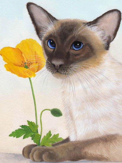 Siamese Cat | Diamond Painting
