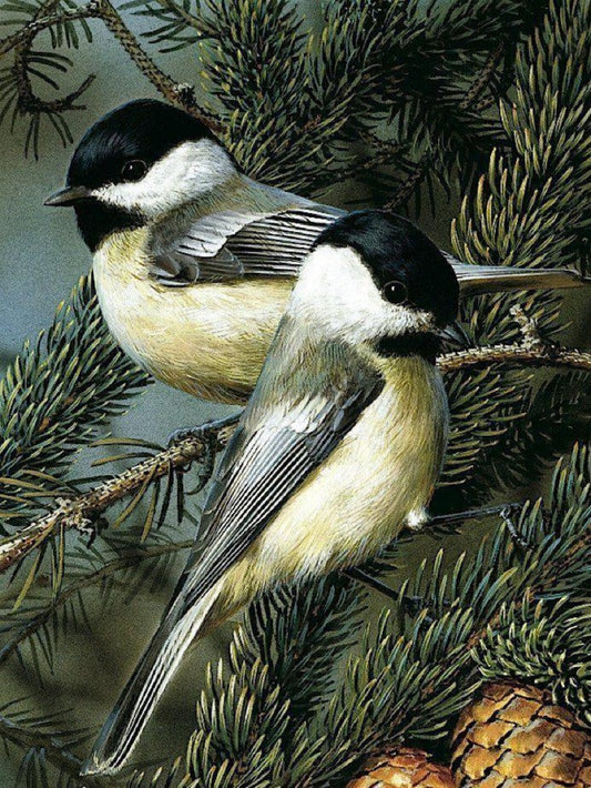 Chickadee | Diamond Painting