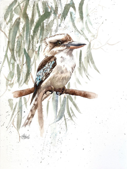 Kookaburra | Diamond Painting