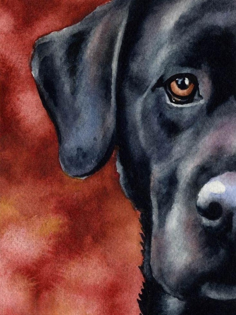 Black Labrador Dog | Diamond Painting