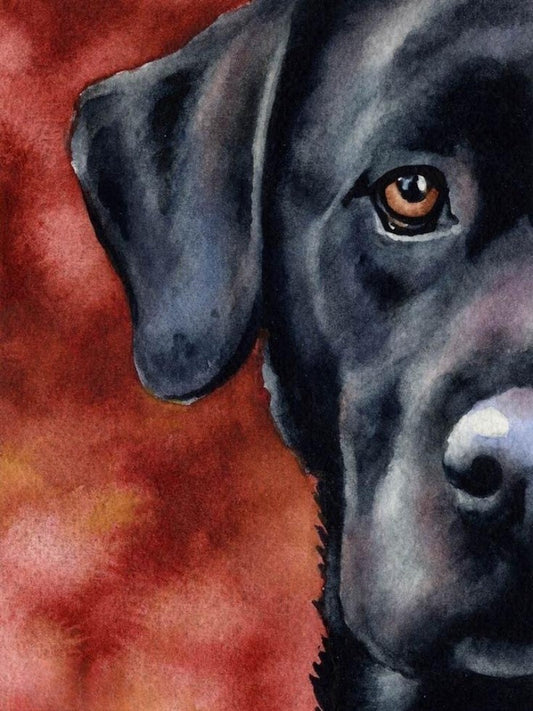 Black Labrador Dog | Diamond Painting