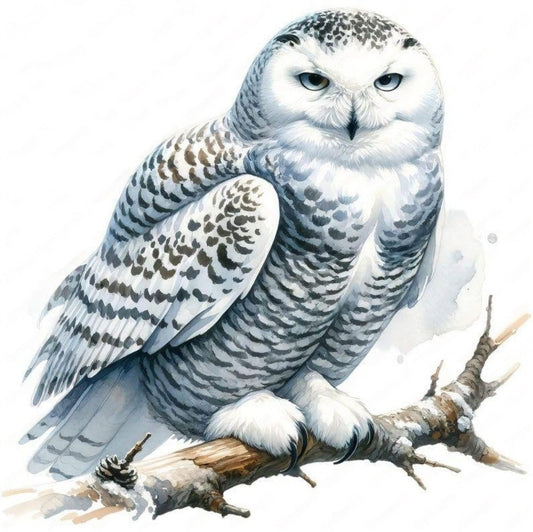 Snowy owl (White Owl) | Diamond Painting