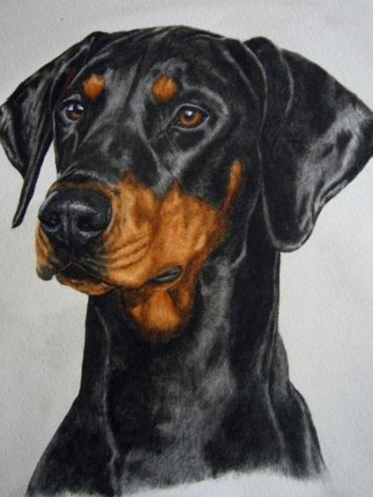 Dog Doberman | Diamond Painting