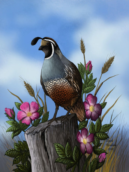 Quail | Diamond Painting