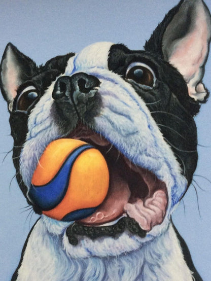 Boston Terrier Dog | Diamond Painting