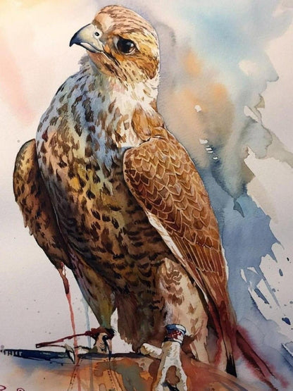 Falcon | Diamond Painting