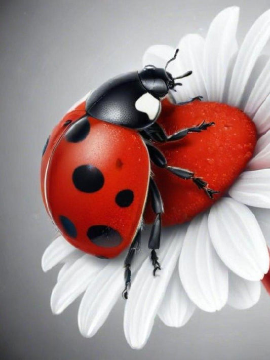 Ladybug | Diamond Painting