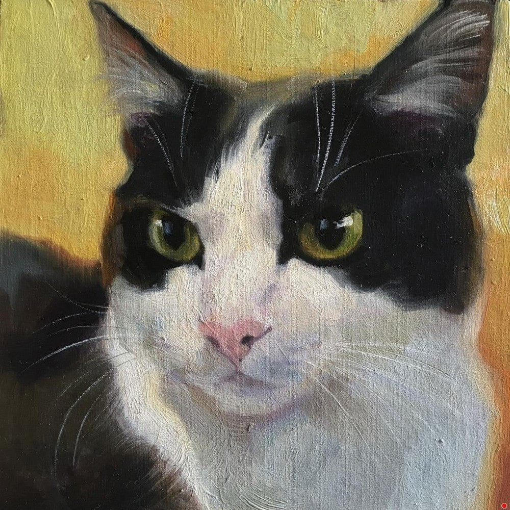 Tuxedo Cat  | Diamond Painting