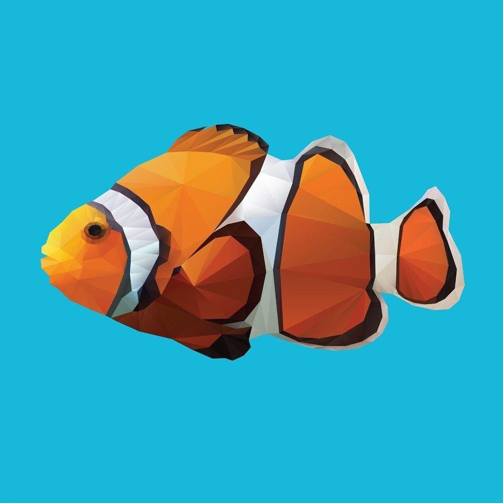 Clown Fish | Diamond Painting