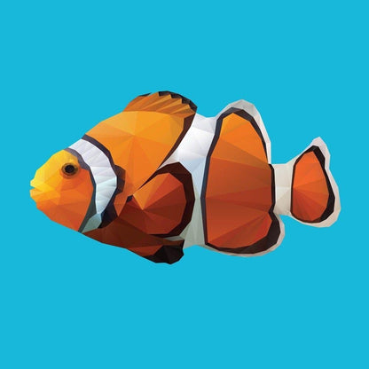 Clown Fish | Diamond Painting