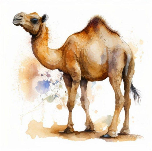 Camel | Diamond Painting