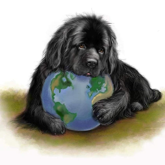 Newfoundland Dog | Diamond Painting