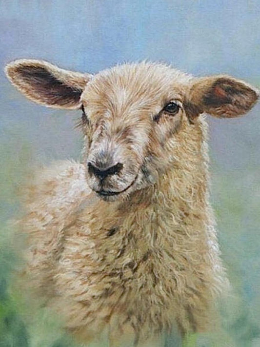 Sheep | Diamond Painting