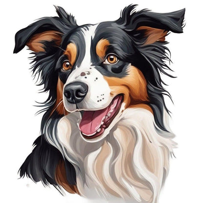 Dog Border Collie | Diamond Painting